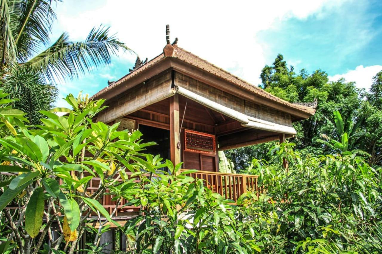 Barong Villas Sidemen  Εξωτερικό φωτογραφία